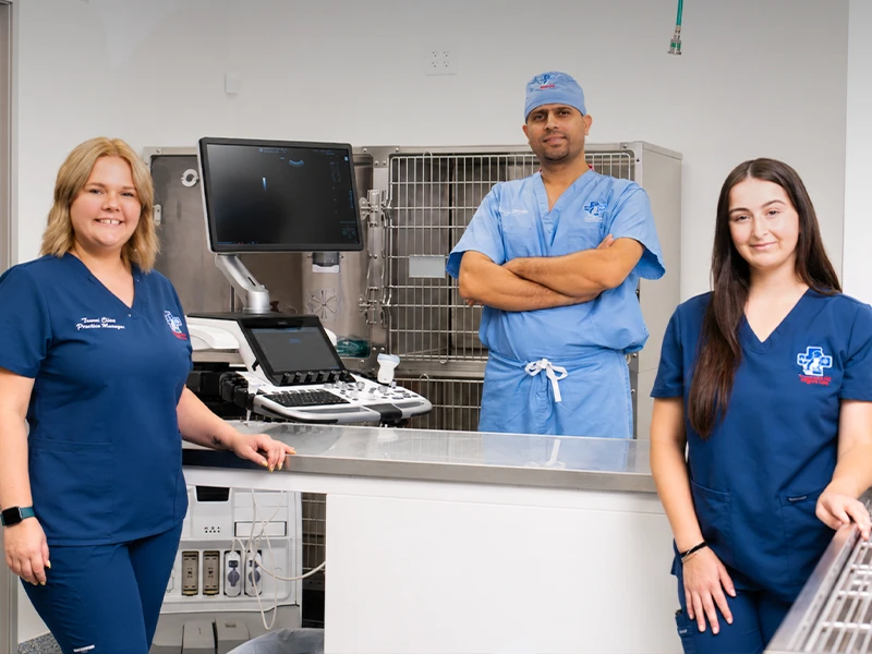 happy team at American Pet Urgent Care