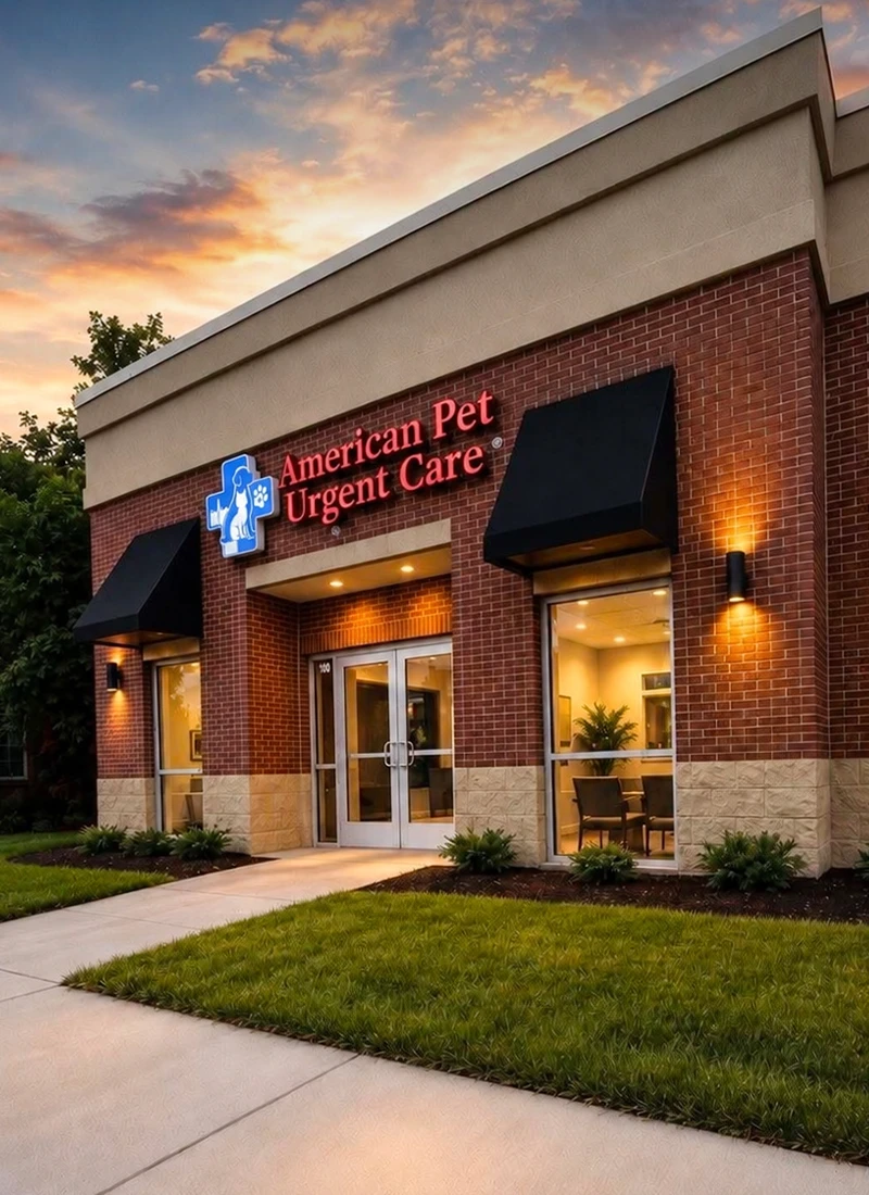 american pet urgent care facade