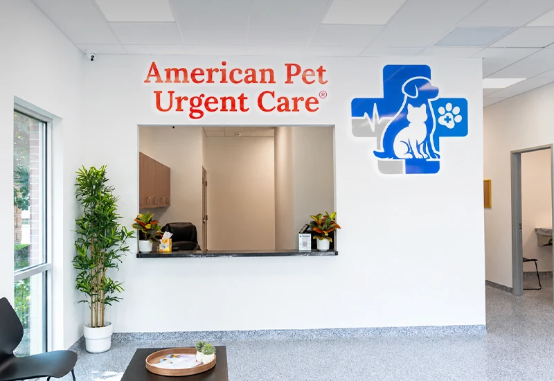 american pet urgent care front desk