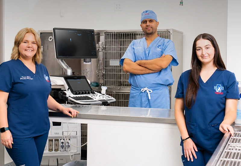 american pet urgent care team members