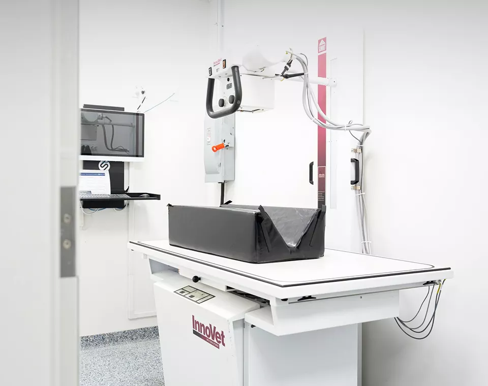 digital x-rays at American Pet Urgent Care