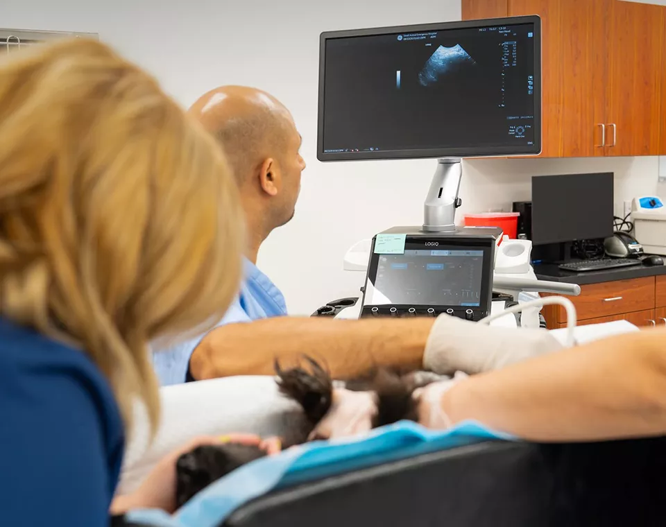 Dr. Khan doing an ultrasound at American Pet Urgent Care
