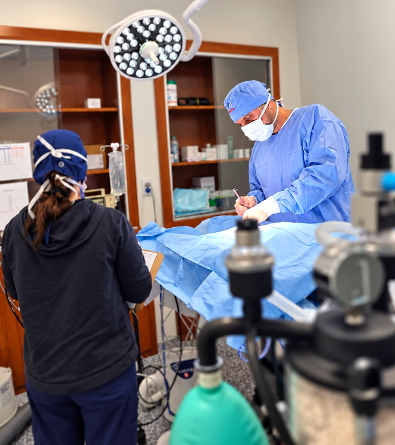 Dr. Khan making a surgery at American Pet Urgent Care