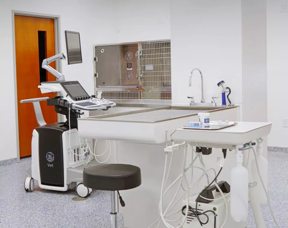 surgery room at American Pet Urgent Care