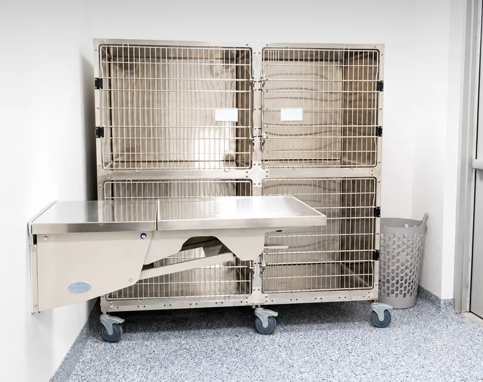 examination room at American Pet Urgent Care