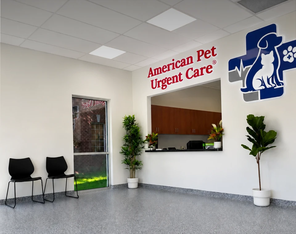 American Pet Urgent Care Lobby